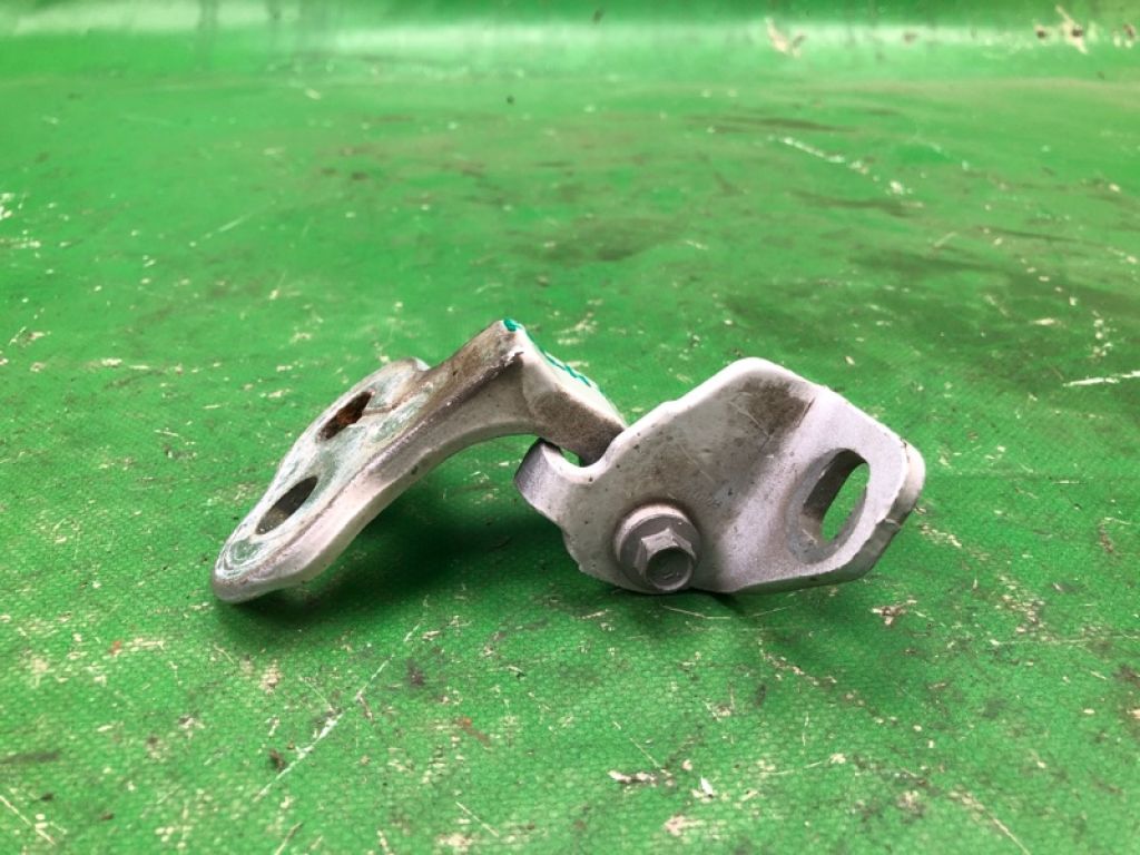 CP9Z-5422811-A | Петля двери нижняя передн. лев. FORD FOCUS 10-18