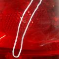 92402-1M010 | Фонарь наружный прав. KIA FORTE/CERATO TD 08-13 - Превью 5