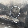 41 61 7 111 385 | Капот BMW 5 SERIES 03-10 - Прев'ю 4