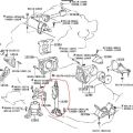 12307-20021 | Подушка двигателя TOYOTA AVALON 99-05 - Превью 2