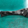 11950-PAA-A00 | Кронштейн КПП ACURA CL 97-03 - Превью 4