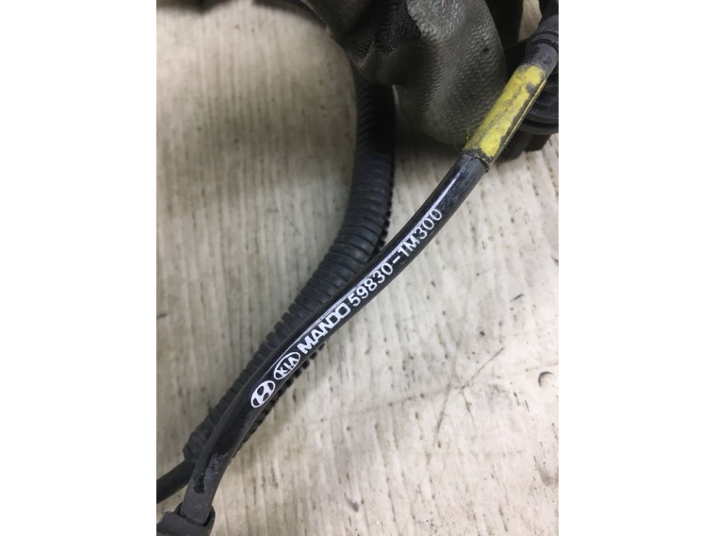 59830-1M300 | Датчик ABS передн. прав. KIA FORTE/CERATO TD 08-13 - Фото 3