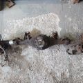 42110-60870 | Міст задній TOYOTA LAND CRUISER PRADO 120 02-09