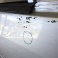 H0100ZT5MA | Дверь передн. прав. NISSAN SENTRA (B16) 06–12 - Превью 9