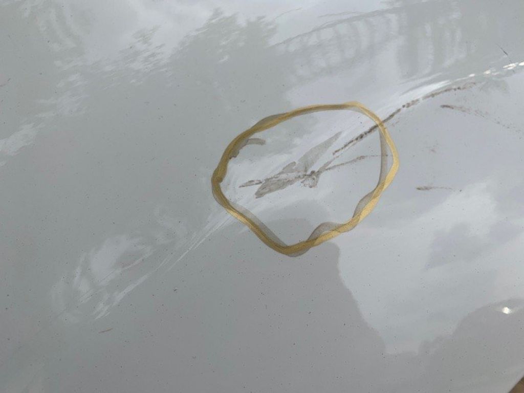 66311-B2000 | Крило переднє лів. KIA SOUL PS 13-19 - Фото 4