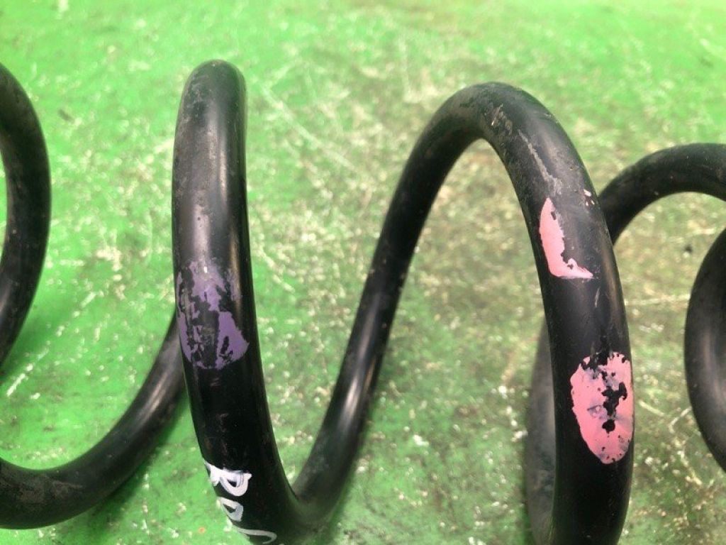 550204BA1E | Пружина задньої підвіски NISSAN X-TRAIL/ROGUE T32 13-20 - Фото 2