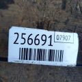 13210-PLM-A00 | поршень HONDA CIVIC ES 00-05 - Прев'ю 2