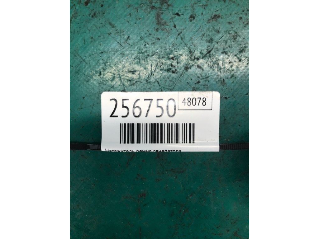 CM5Z-6B209-A | Натяжитель ремня генератора FORD FOCUS 10-18 - Фото 2