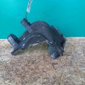 11910-PLC-010 | Кронштейн двигателя HONDA CIVIC ES 00-05 - Превью 5