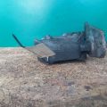 38930-PLC-000 | Кронштейн компресора кондиціонера HONDA CIVIC ES 00-05 - Прев'ю 4