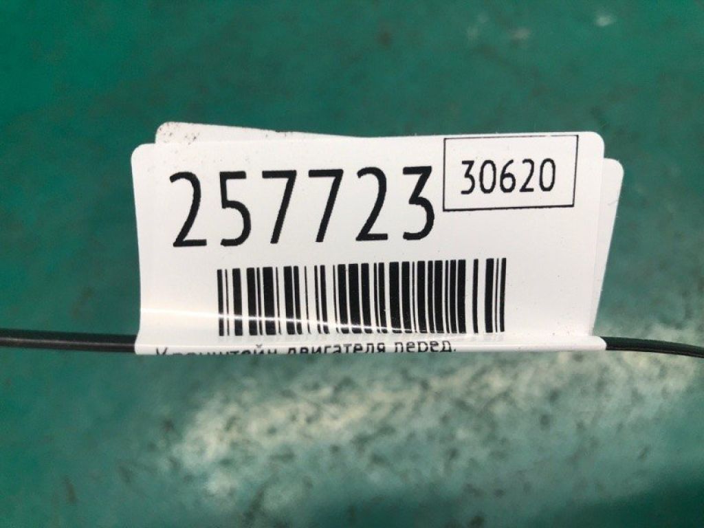 50630-TA1-A00 | Кронштейн двигателя передн. ACURA RDX 12-19 - Фото 2