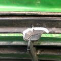 5310133120C0 | Решетка радиатора LEXUS ES300 ES330 01-06 - Превью 4