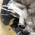 DS7Z-16102-A | Подкрылок передн. прав. FORD FUSION 14- - Превью 4