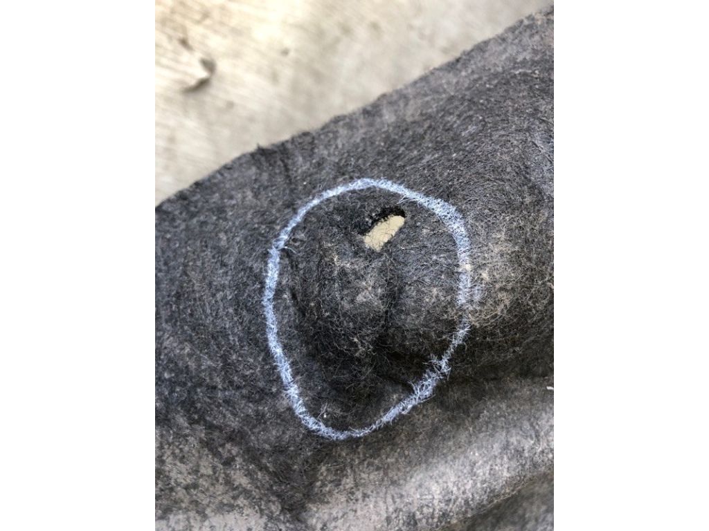 CP9Z-58278B51-A | Підкрилок задн. лів. FORD FOCUS 10-18 - Фото 4