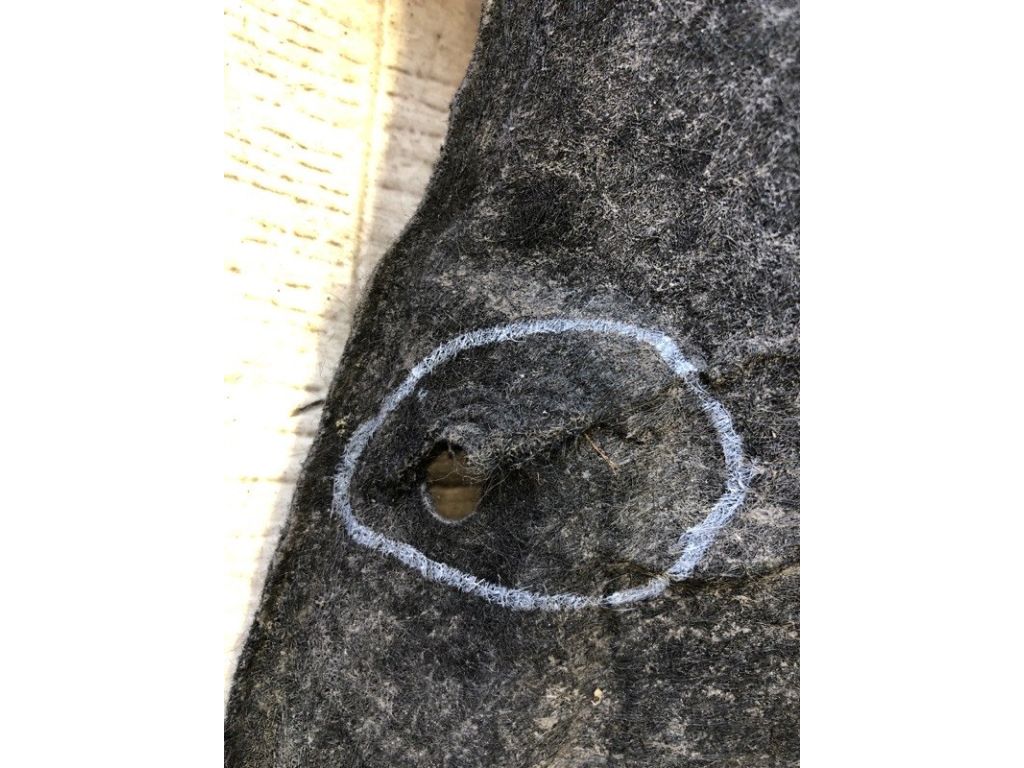 CP9Z-58278B51-A | Підкрилок задн. лів. FORD FOCUS 10-18 - Фото 5