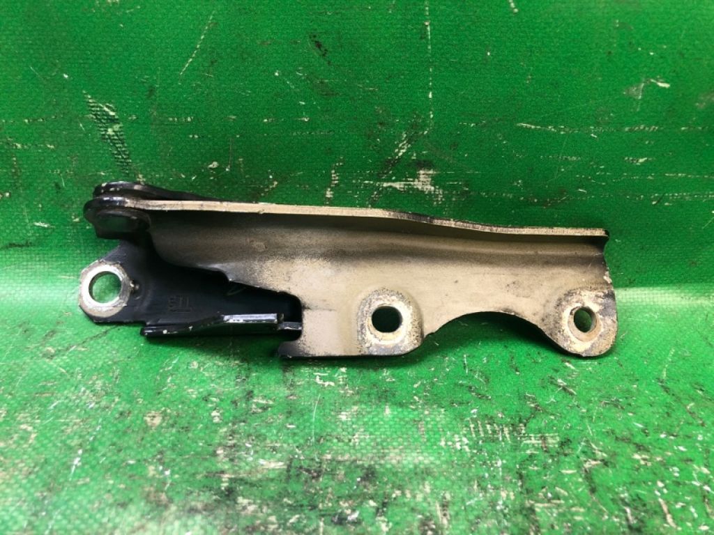 15520655 | Петля капоту передн. лів. MITSUBISHI GALANT 03-12