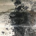 68087920AA | Подкрылок задн. прав. DODGE JOURNEY 08-20 - Превью 4