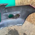 EH10-50-031BAA | Бампер передній MAZDA CX-7 06-12 - Прев'ю 12