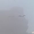 53301-78030 | Капот LEXUS NX 14-21 - Превью 9