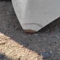 53301-42120 | Капот TOYOTA RAV4 13-19 - Превью 5
