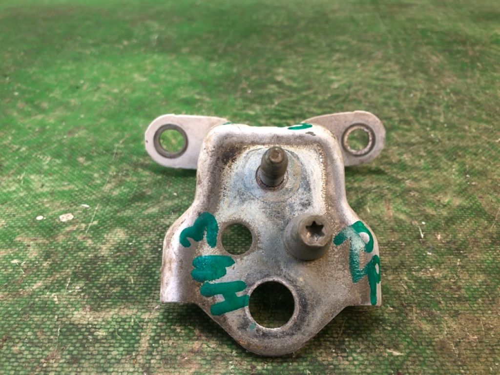 G2BZ-5426810-A | Петля двері нижня задн. прав. FORD FIESTA 08-17