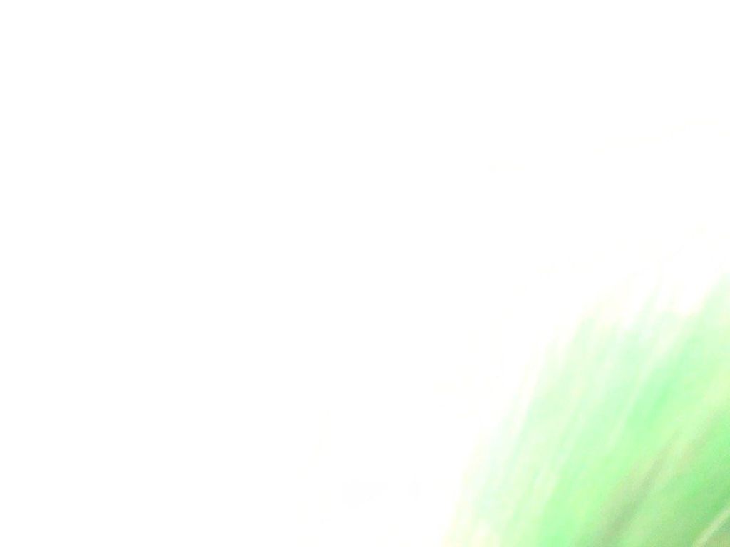 BE8Z-5425712-A | Скло дверей задн. прав. FORD FIESTA 08-17 - Фото 4