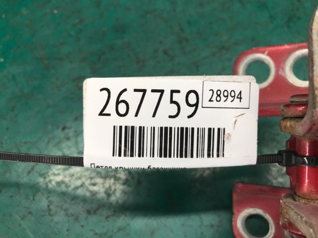 68801-42050 | Петля двери багажника TOYOTA RAV4 05-12 - Фото 2