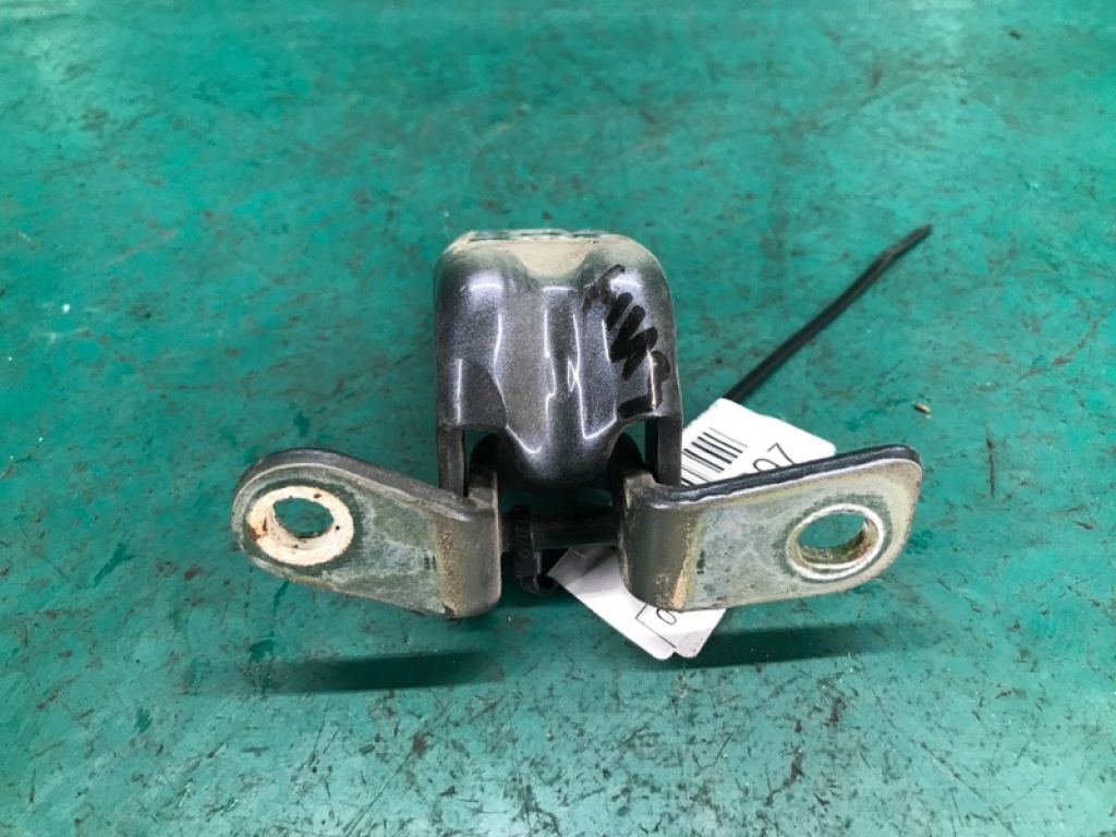 13501716 | Петля двері нижня задн. прав. CHEVROLET VOLT 10-15 - Фото 5