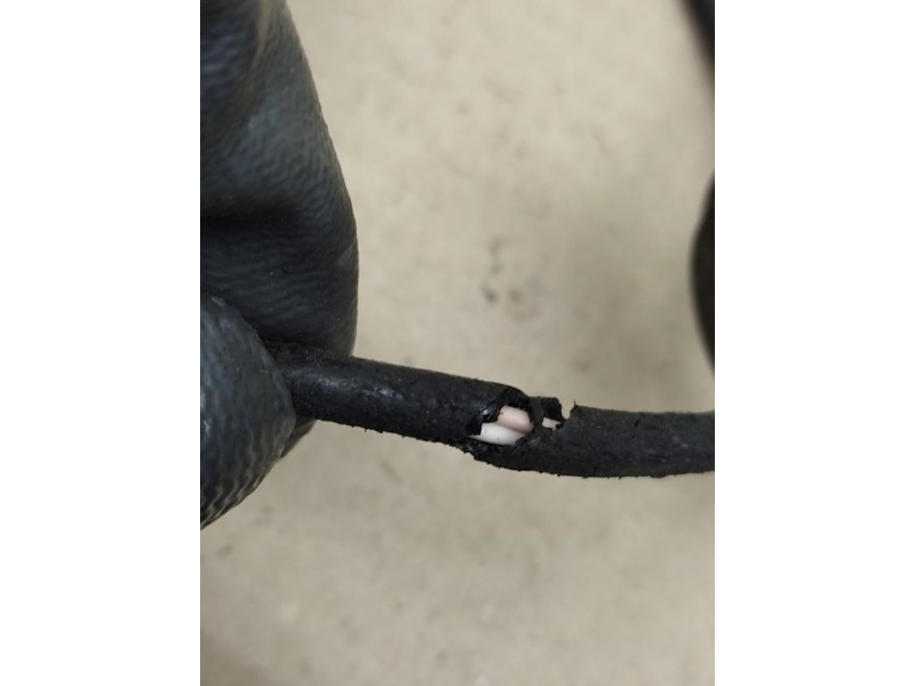 47910-CA000 | Датчик ABS передн. прав. NISSAN MURANO Z50 02-07 - Фото 2