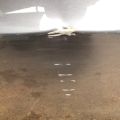 55369481AK | Дверь задн. лев. DODGE DURANGO 11- (WD) - Превью 9