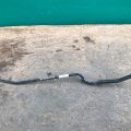 GS4H-32-410A | Трубка ГПК низького тиску MAZDA 6 GH 07-12