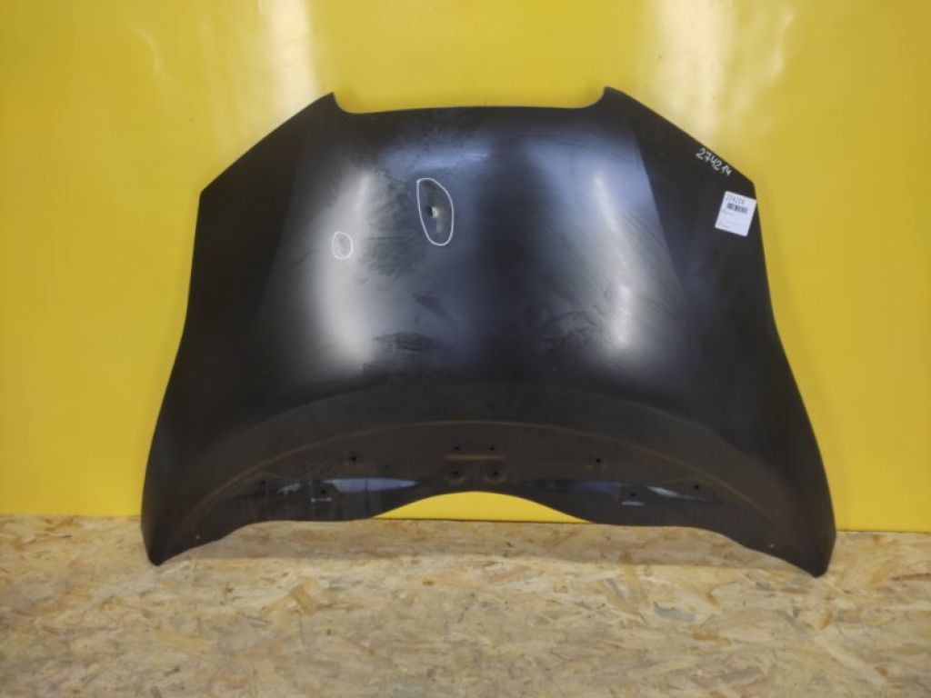 65100-3NF0A | Капот NISSAN LEAF 10-17