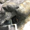 5L1Z-17683-BAA | Зеркало лев. FORD EXPEDITION 03-06 - Превью 9