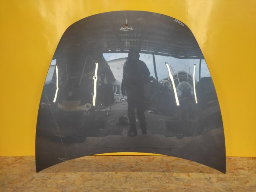 1081390-E0-D | Капот TESLA MODEL 3 17-