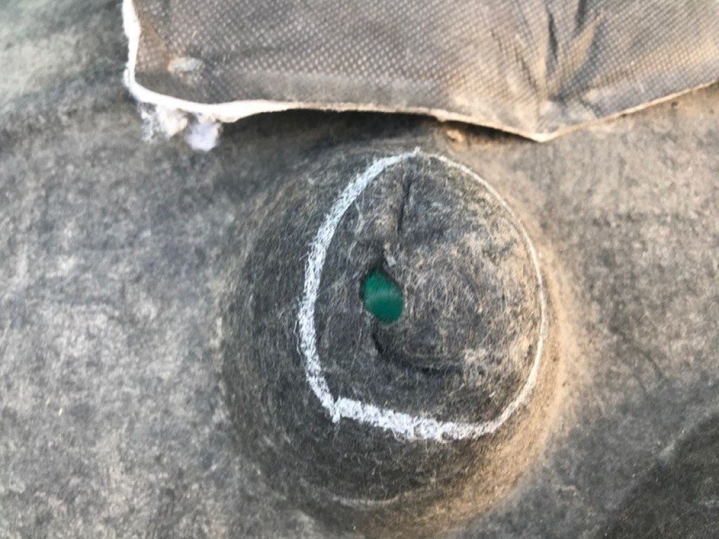 74550-TZ3-A00 | Подкрылок задн. прав. ACURA TLX 14-17 - Фото 4