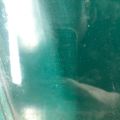 68101-02280 | Стекло двери передн. прав. TOYOTA COROLLA 150 06-13 - Превью 3