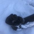 Балка задней подвески TOYOTA COROLLA 120 00-07 - Превью 12