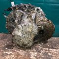 F1FZ-7000-P | Автоматична трансмісія FORD FOCUS 10-18 - Прев'ю 5