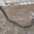 88704-06410 | Трубка кондиціонеру TOYOTA CAMRY 40 06-11 - Прев'ю 3
