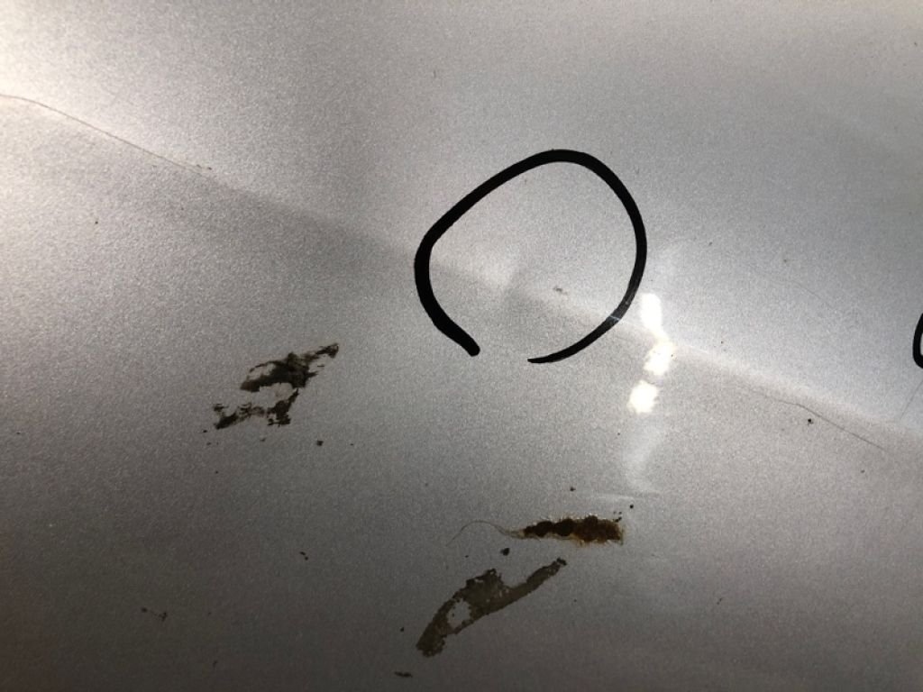 67550SEA000ZZ | Дверь задн. лев. HONDA ACCORD CL7 / TSX 03-08 - Фото 6