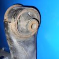 55501-3NA1A | Балка задней подвески NISSAN LEAF 10-17 - Превью 6