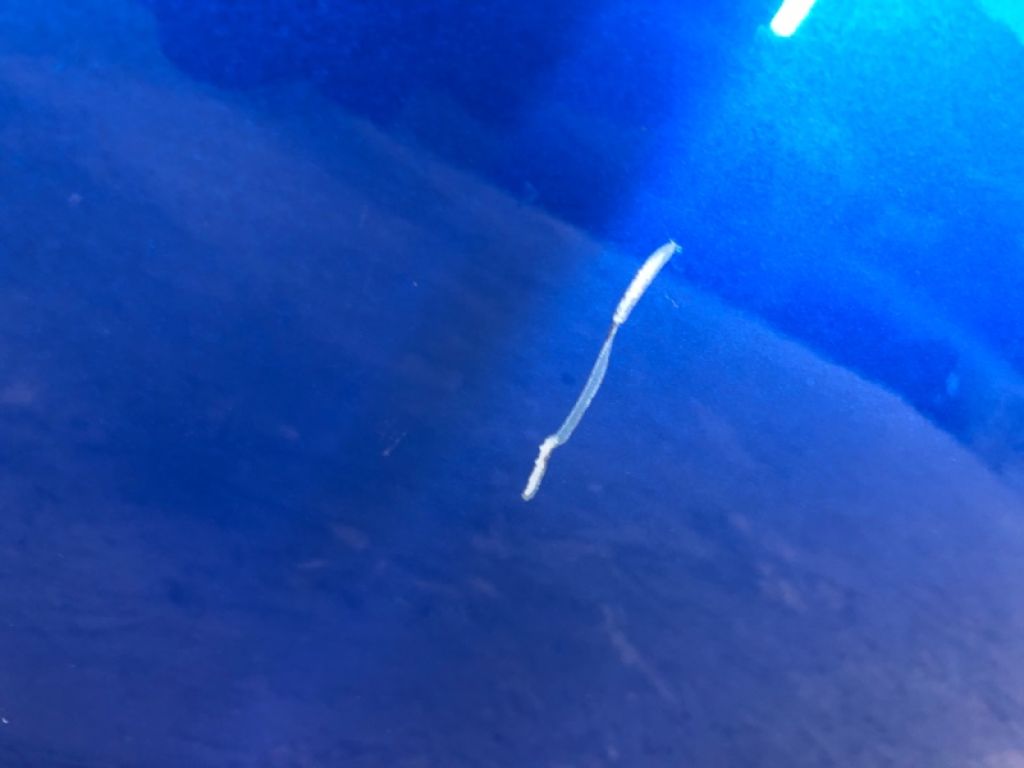 80152-3NF0A | Двері передн. прав. NISSAN LEAF 18- - Фото 8