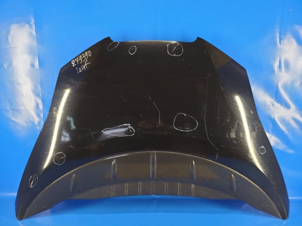 65100-3NF0A | Капот NISSAN LEAF 10-17