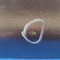 84300-3TA0A | Кришка багажника NISSAN ALTIMA L33 12-18 - Прев'ю 13