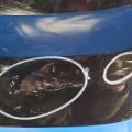 H4300-9N0AB | Кришка багажника NISSAN MAXIMA A35 08-15 - Прев'ю 6