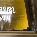 68124-42190 | Стекло двери глухое задн. лев. TOYOTA RAV4 18- - Превью 2