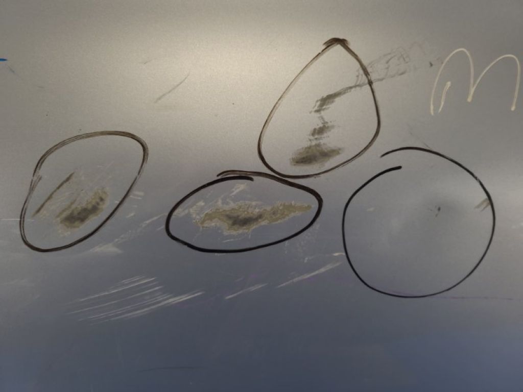 67004-02220 | Дверь задн. лев. TOYOTA COROLLA 150 06-13 - Фото 8