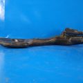 16554-JG00A | Воздухозаборник NISSAN X-TRAIL T31 07-14 - Превью 3