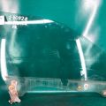 61011AG02A | Скло дверей передн. прав. SUBARU OUTBACK 03-09 BP
