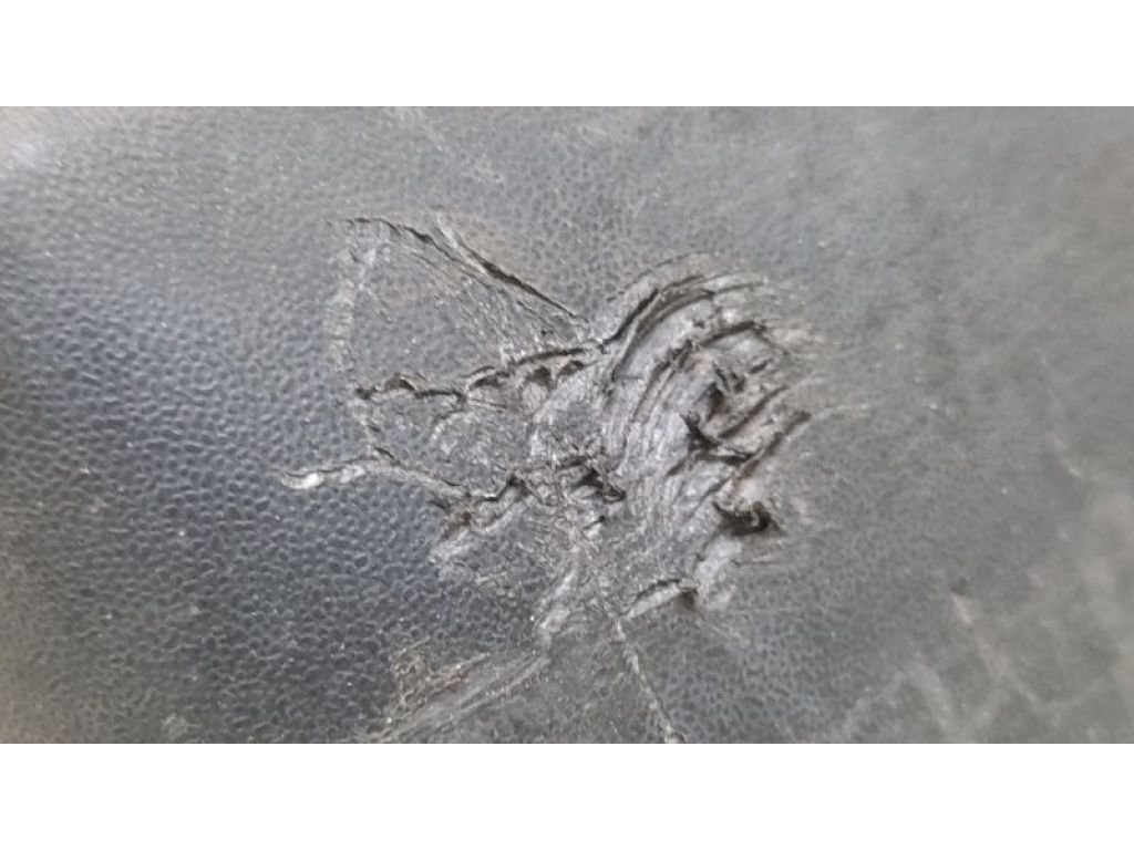 63855-4BA0A | Бризговик передн. лів. NISSAN X-TRAIL/ROGUE T32 13-20 - Фото 2